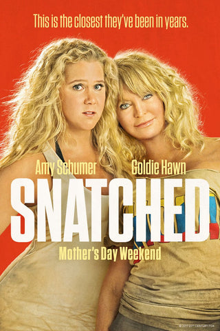 Snatched (2017)