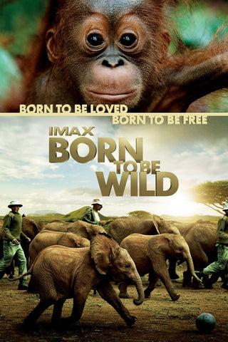 Born to be Wild