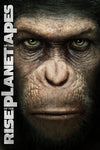 Rise of the planet of the Apes